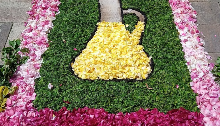 Blumengruß für die Sozialstation