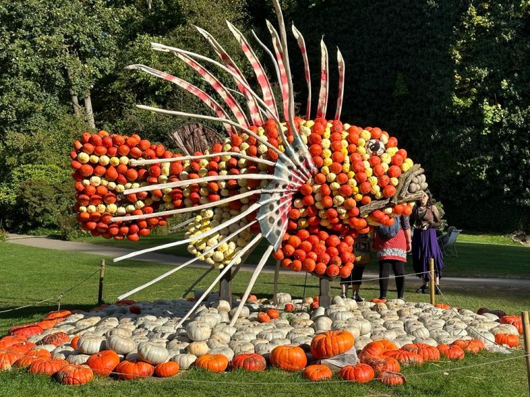 Ausflug Blühendes Barock